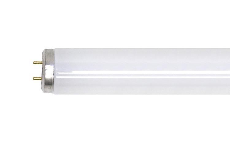 Current, 66474, Fluorescent Lamps t12, G13 Base, 30 Qty., 4100K Color, 34 Watts,
