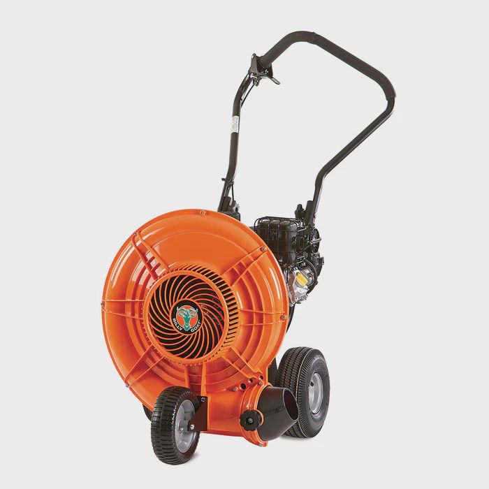 Billy Goat F602V Walk-Behind Blower