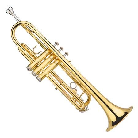 Bb Standard Trumpet With Carry Bag