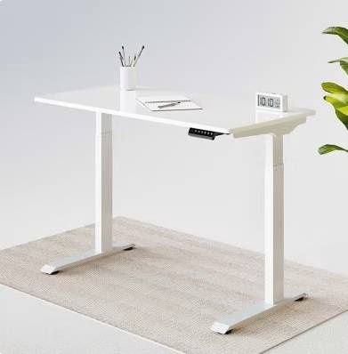 Flexispot 48x24 110 lbs lifting capacity 28" - 48" adjustable height