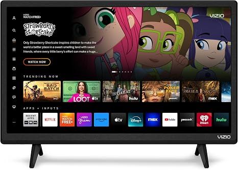 VIZIO 24-inch D-Series Full HD 1080p Smart TV with Apple AirPlay