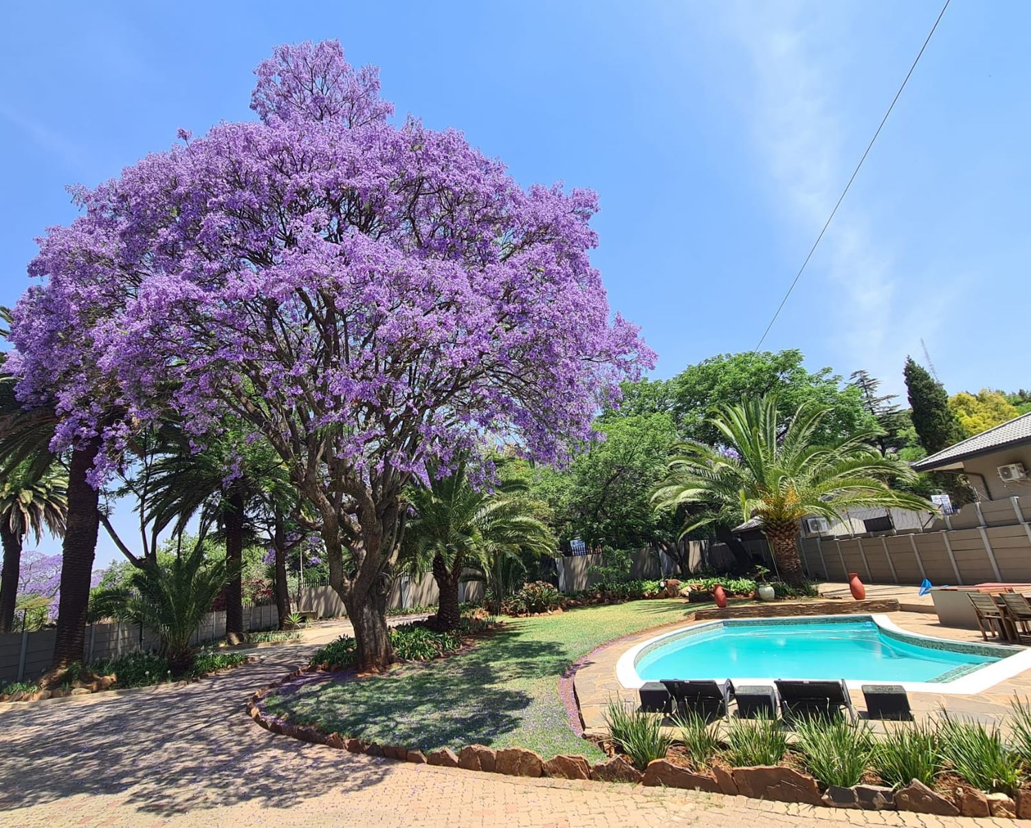 Guest House Stay
