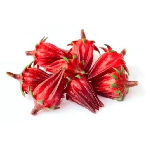 1 lb. Saril - Flor de Jamaica -Hibiscus(o) Frozen/De-seeded-Cogelado/Sin Semillas
