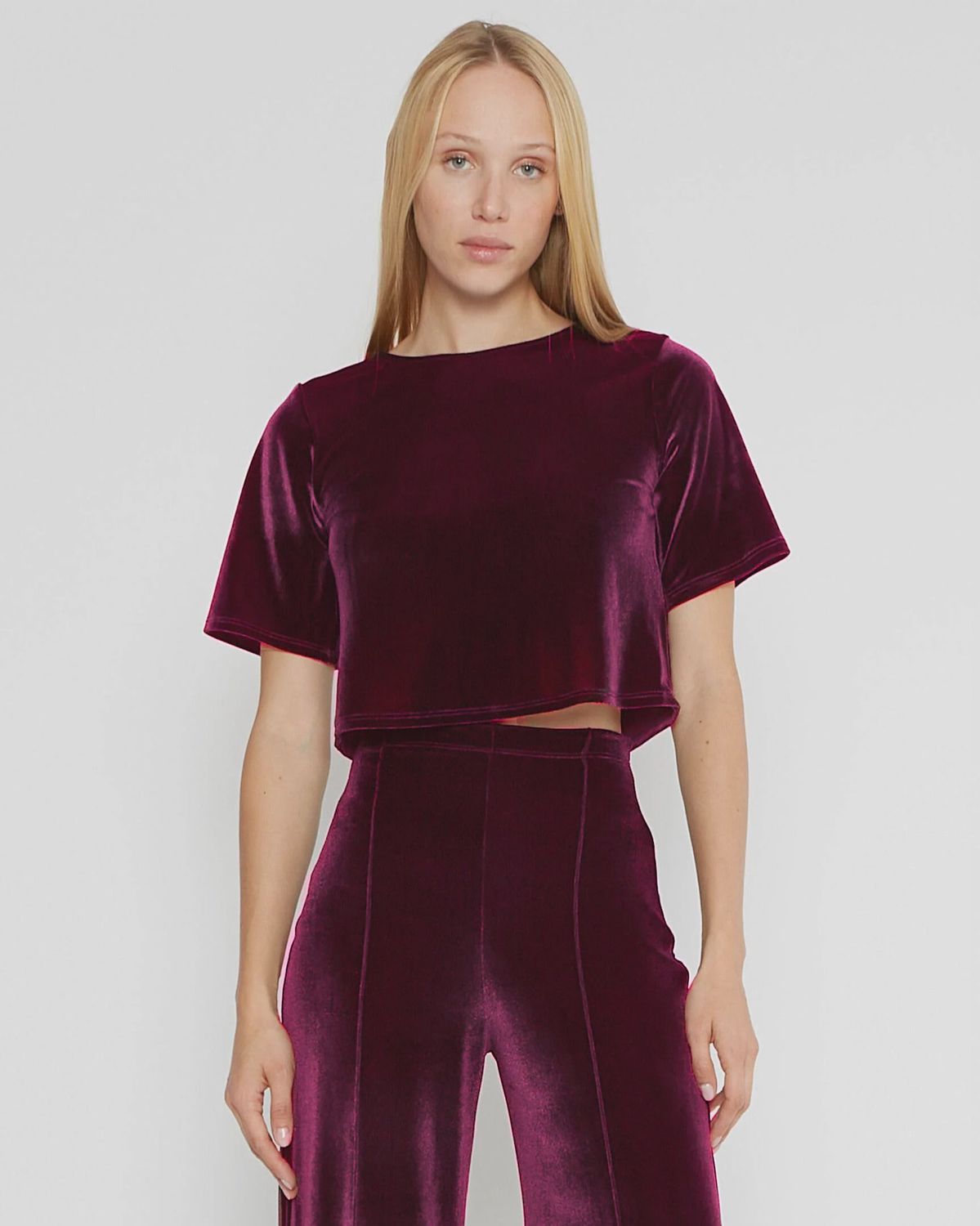 Velvet Short Sleeve Top