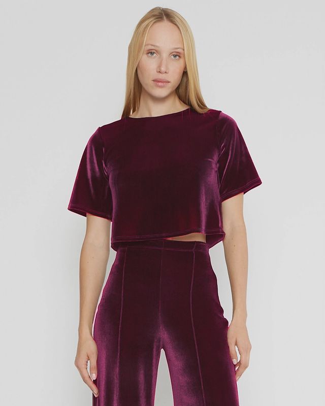 Velvet Short Sleeve Top