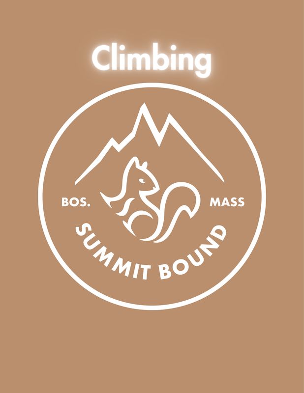 Climbing Shoes
