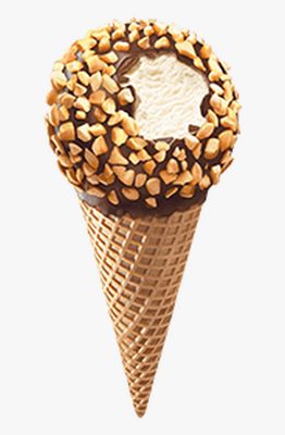 Drumstick