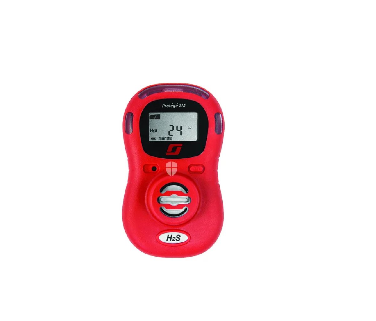 Teledyne Protégé ZM H2S