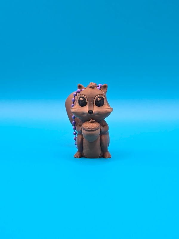 Eichhörnchen