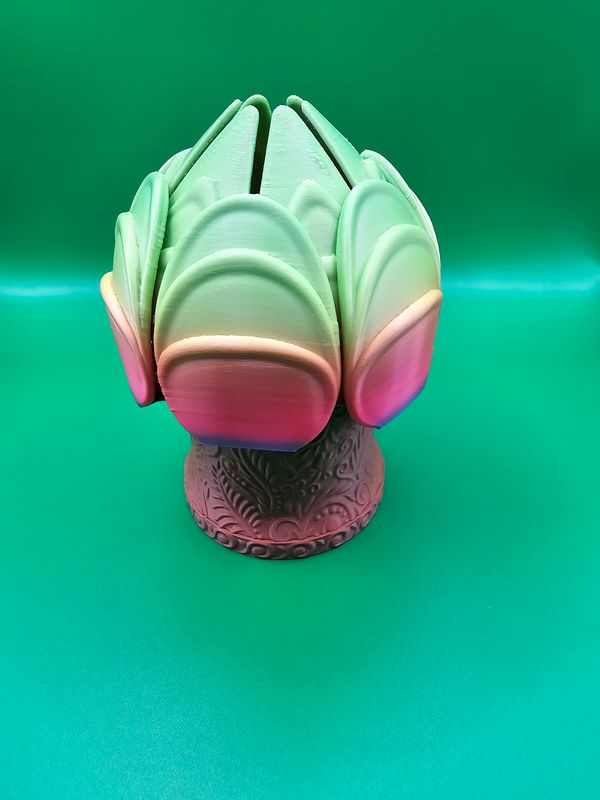 Ringblüte