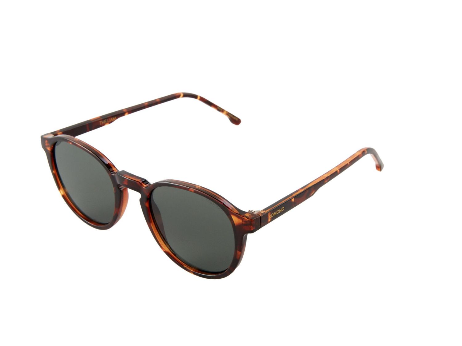 Liam Sunnie | Tortoise