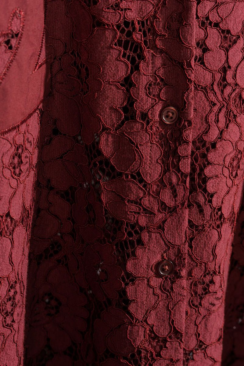 Sheer Blouse