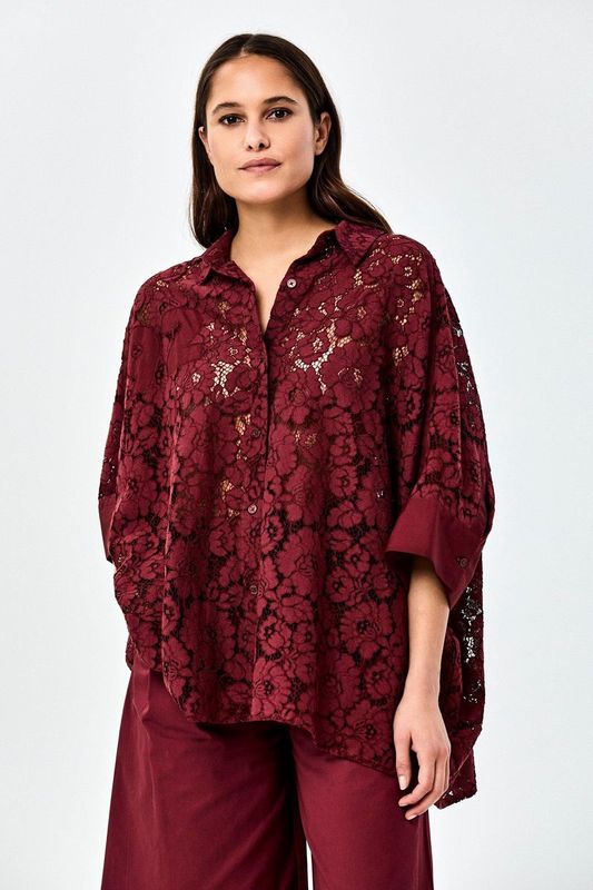 Sheer Blouse