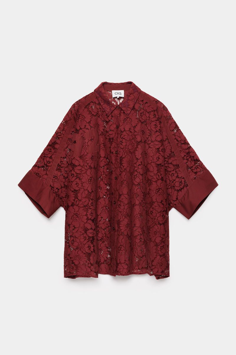 Sheer Blouse
