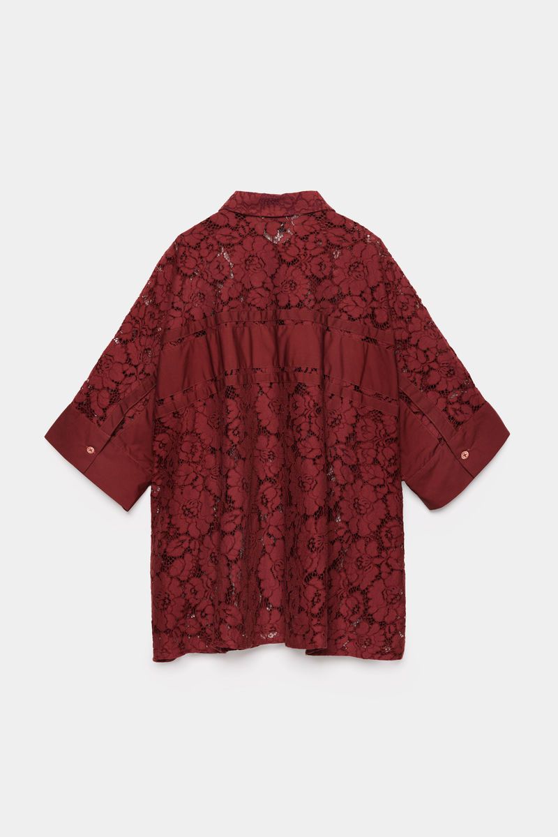 Sheer Blouse