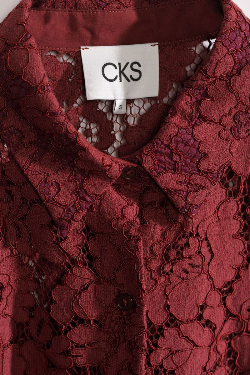 Sheer Blouse