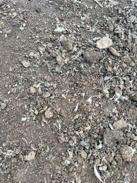 Chook Manure | Prices from $16 - $58 | CLICK PRODUCT TO SELECT YOUR QTY