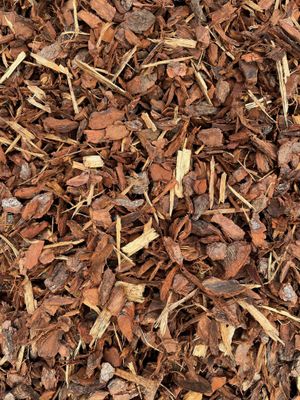 25mm Pine Bark | Prices from $26.50 - $105 | CLICK PRODUCT TO SELECT YOUR QTY