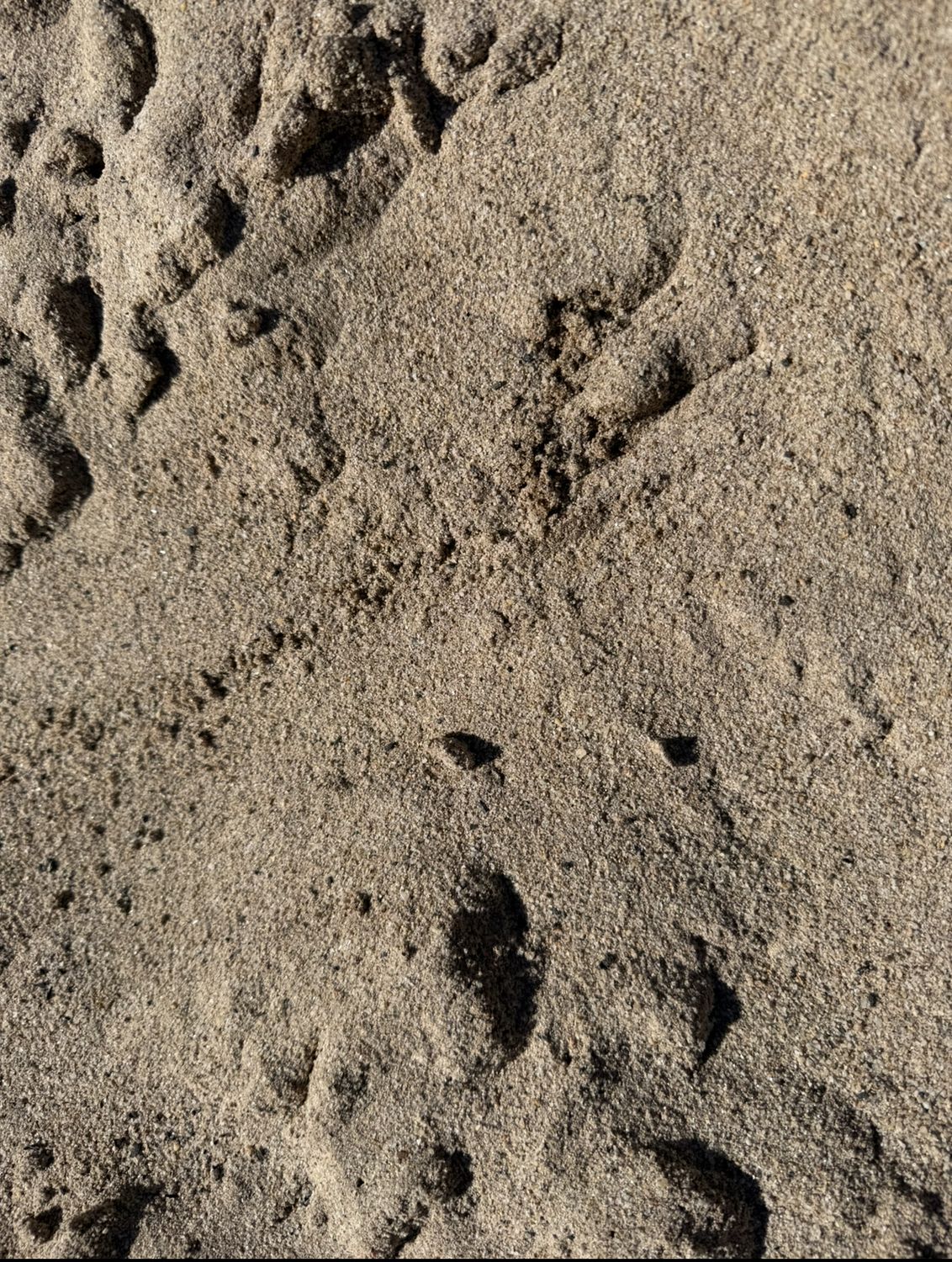 River Sand | Prices from $32 - $115.50 | CLICK PRODUCT TO SELECT YOUR QTY