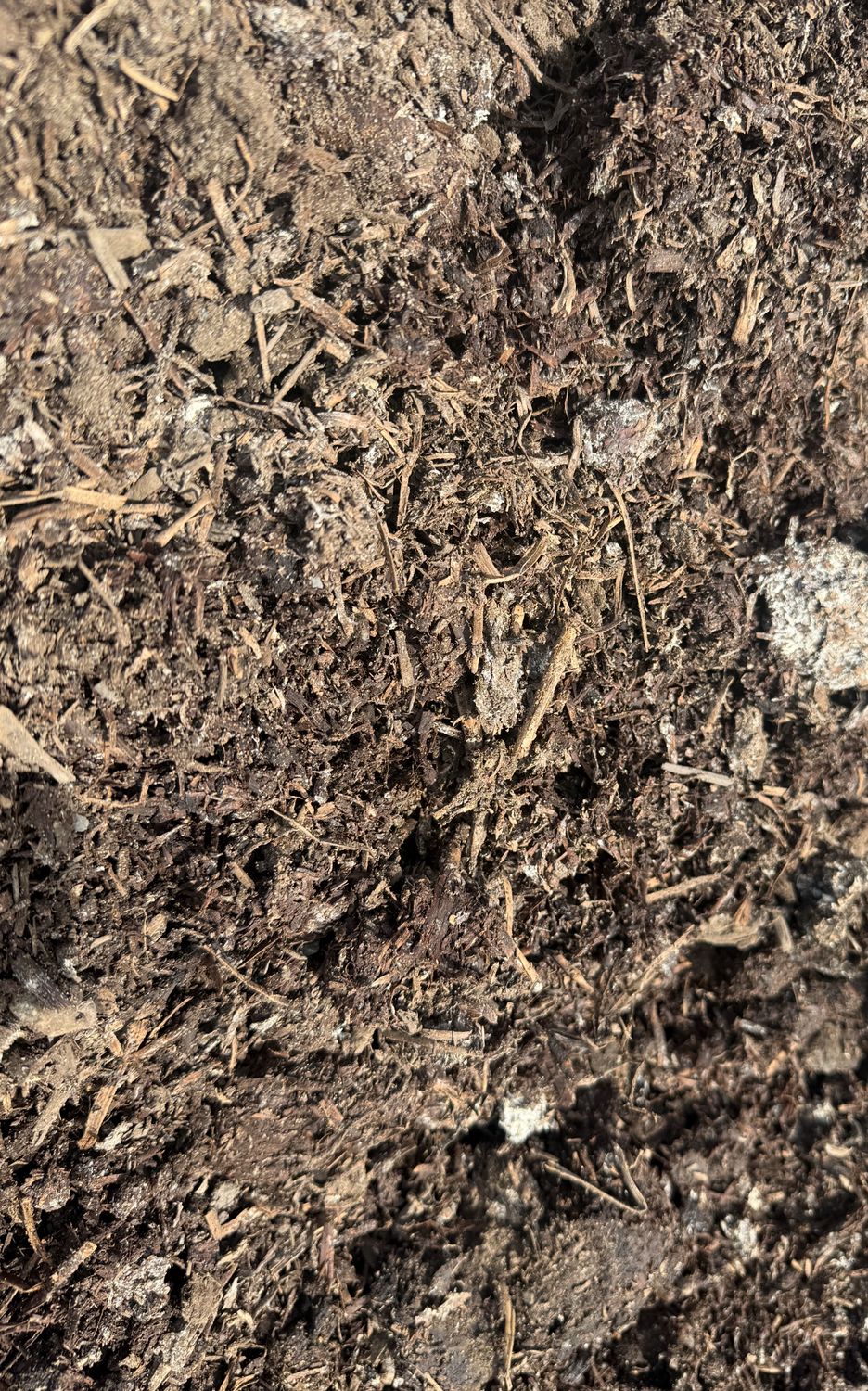 Mushroom Compost | Prices from $26.50 - $94.50 | CLICK PRODUCT TO SELECT YOUR QTY Mushroom Compost | Prices from $26.50 - $94.50 | CLICK PRODUCT TO SELECT YOUR QTY