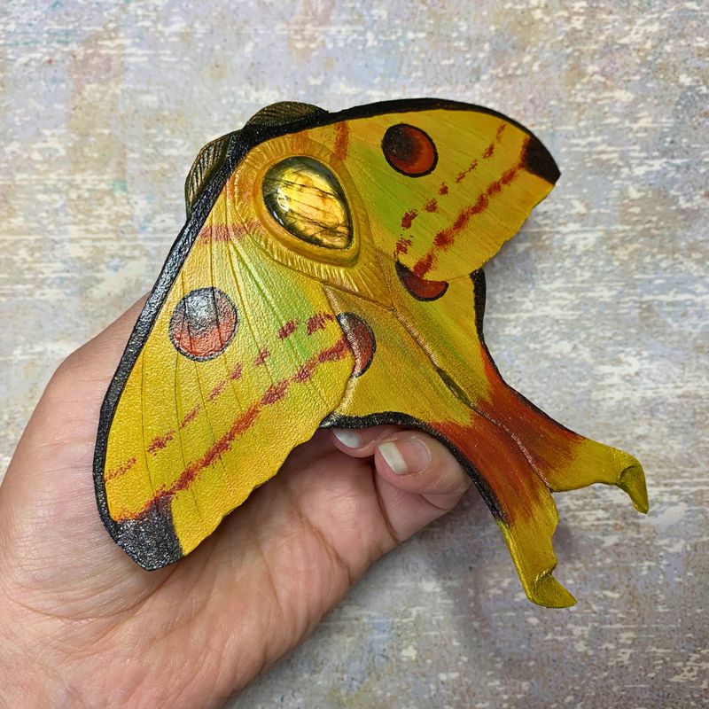 Tooled leather Comet Luna Moth hair barrette