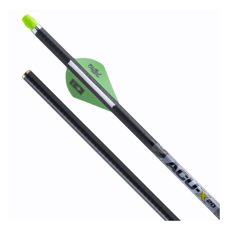 Ten Point ACU-X 20 Arrows