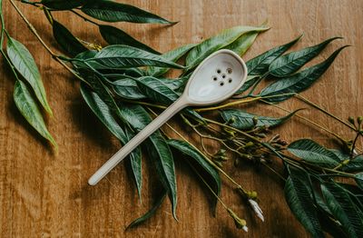 Stoneware Strainer Spoon - White