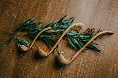 Mango Wood Ladles - Set