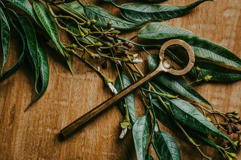 Hendrix Bottle Opener, Brass