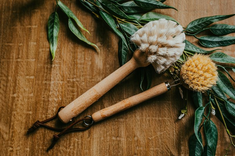 10&quot; Beech Wood Dish Brush