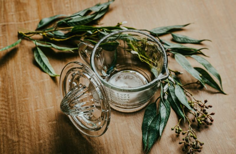 Glass Jar Juicer