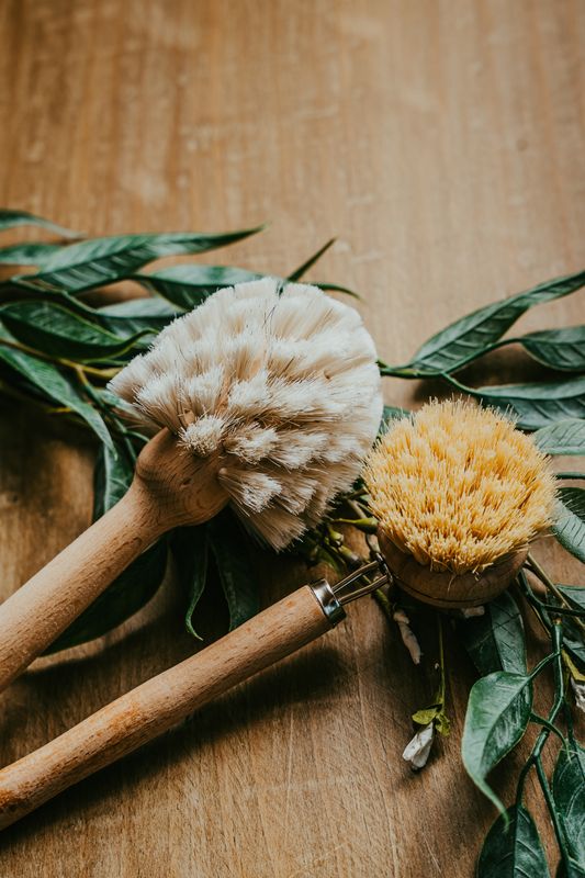10" Beech Wood Dish Brush