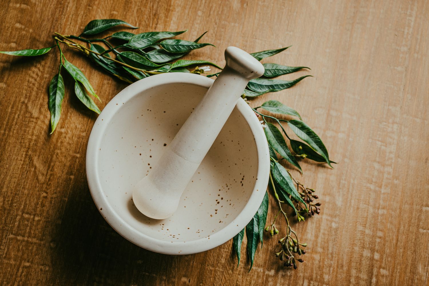 Stoneware Mortar and Pestle- White