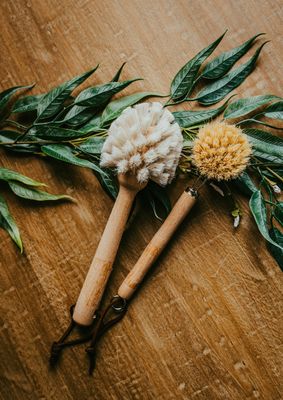 9&quot; Beech Wood Dish Brush