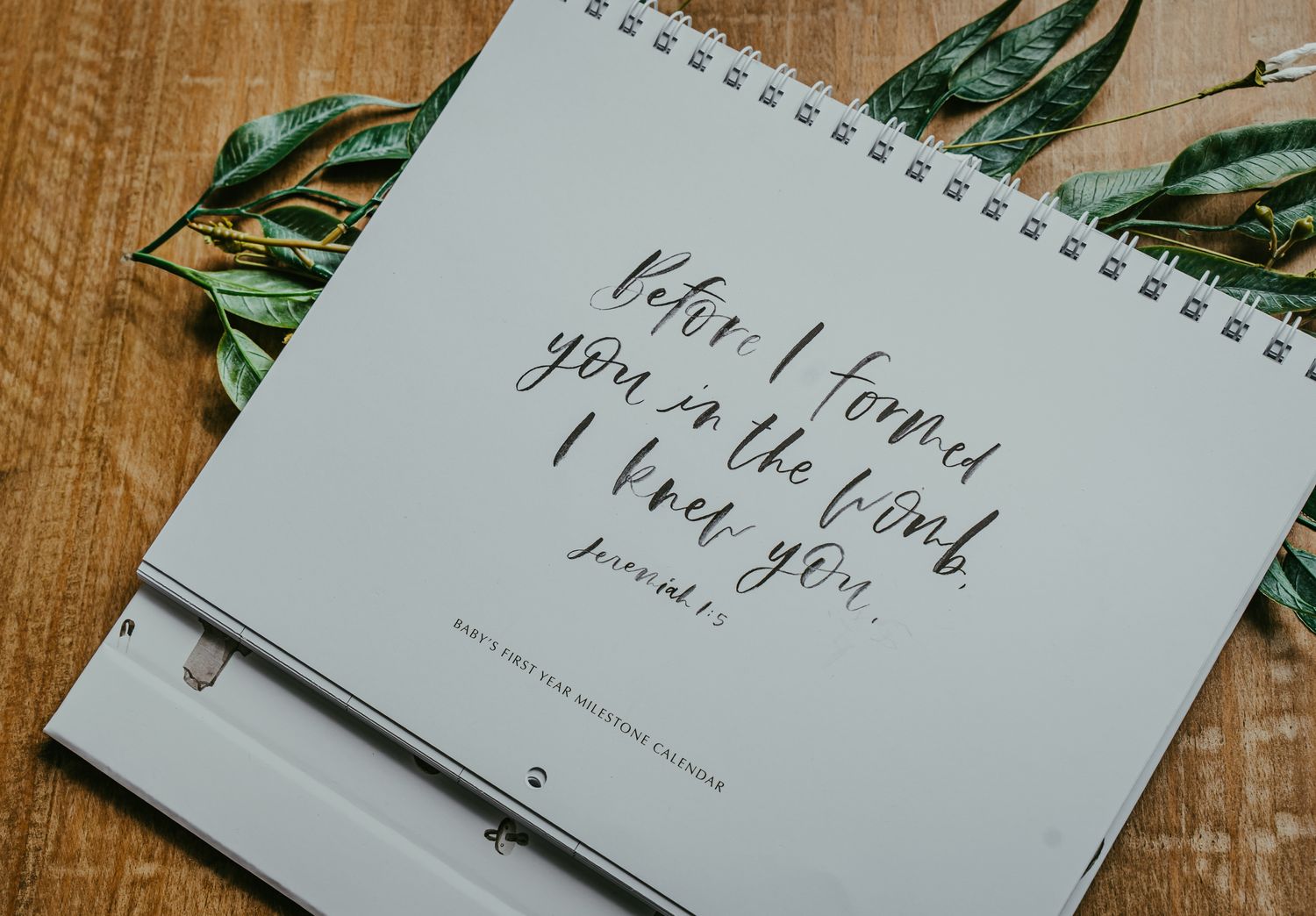 Christian Baby Milestone Calendar