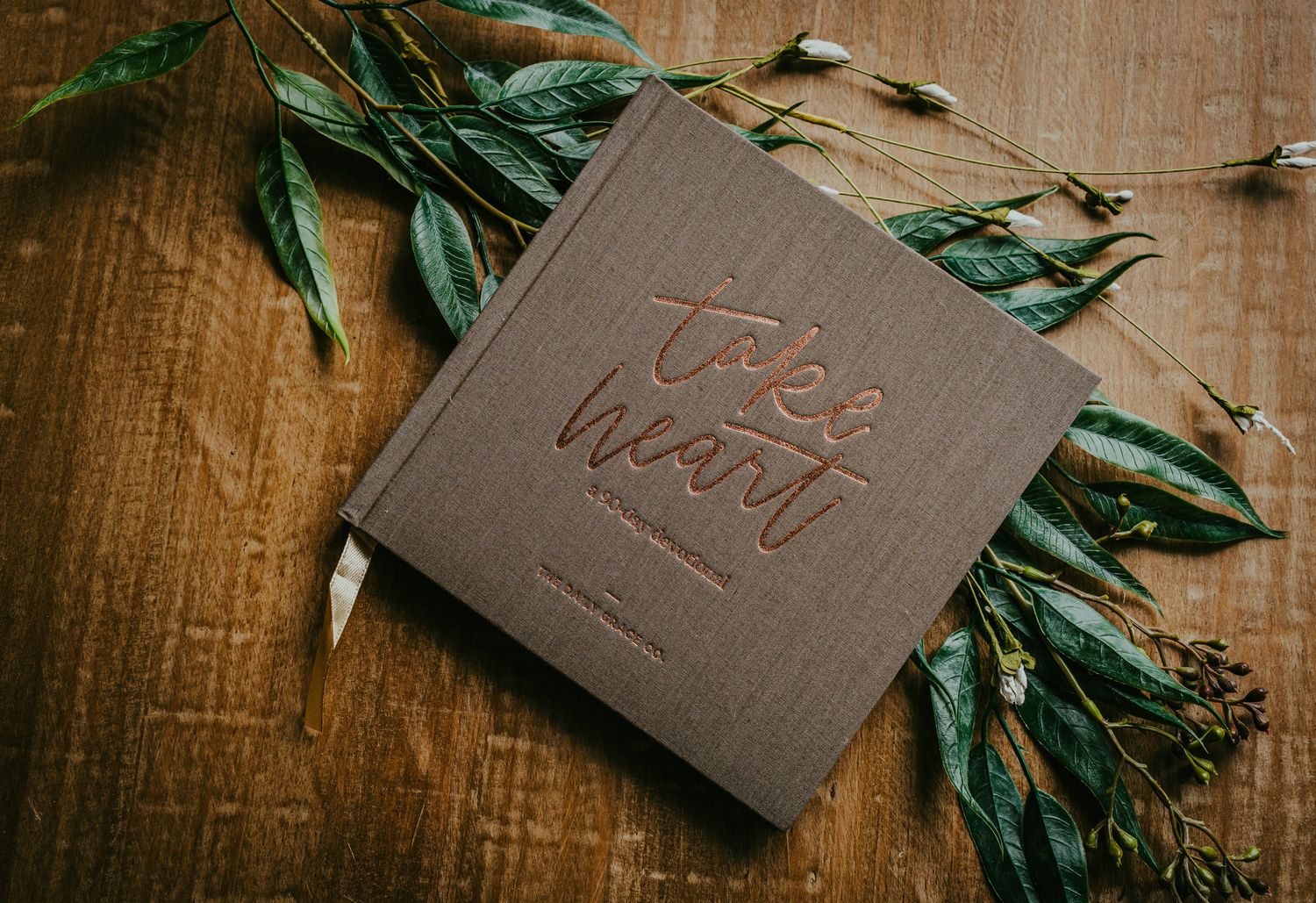 Take Heart - 90-Day Devotional