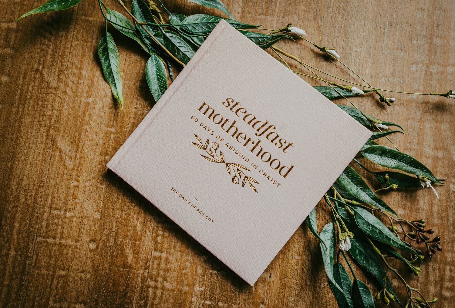 Steadfast Motherhood