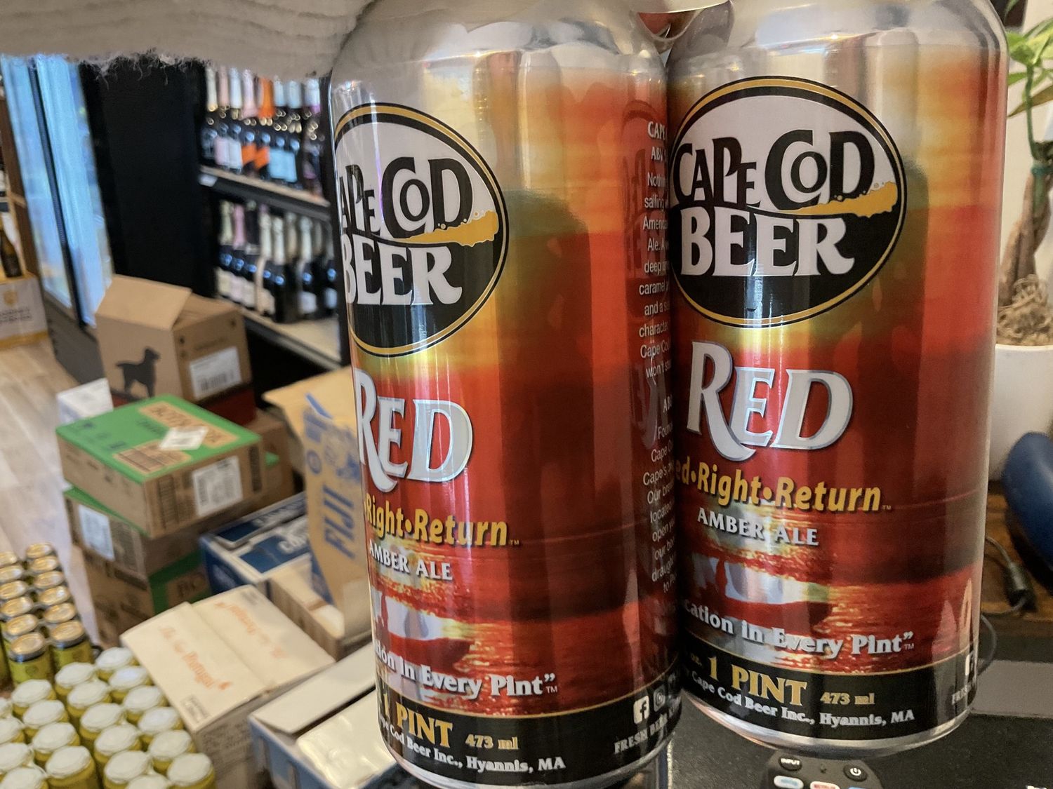 CAPE COD RED 4 pk
