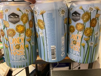 DANDY LION HAZE 6pk