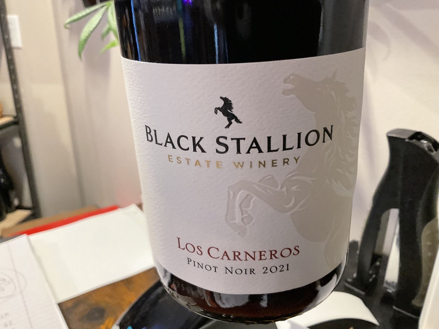 BLACK STALLION PINOT NOIR 750ml
