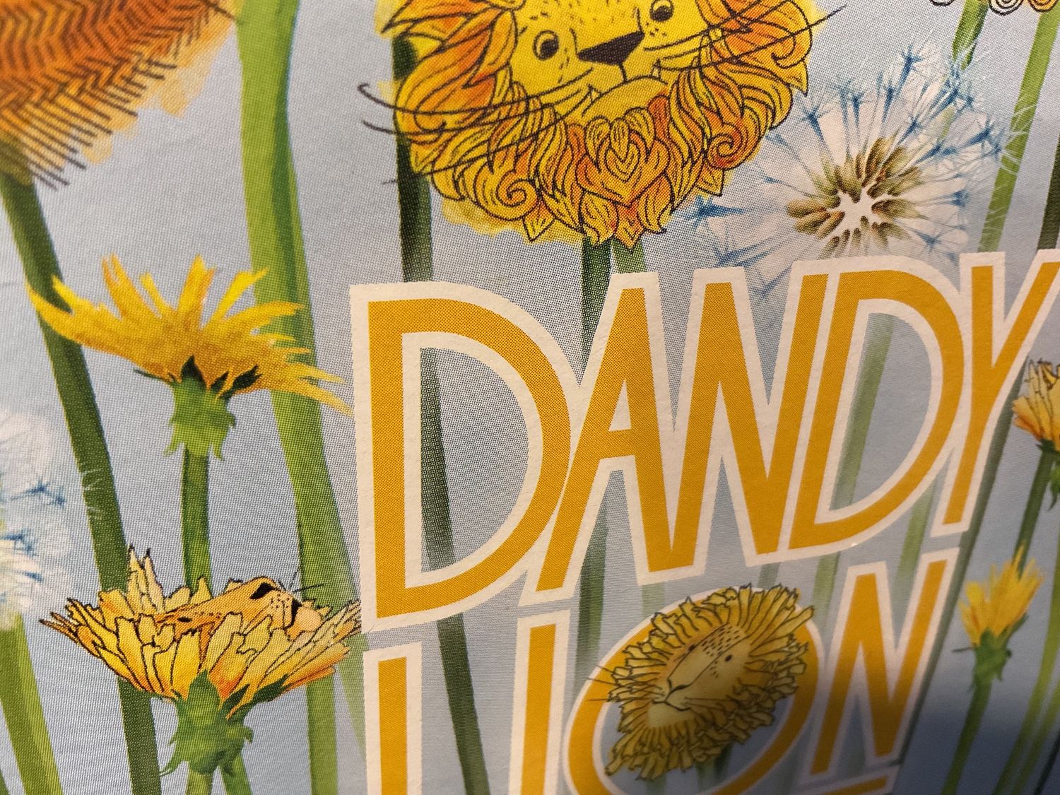 DANDY LION HAZE 12pk