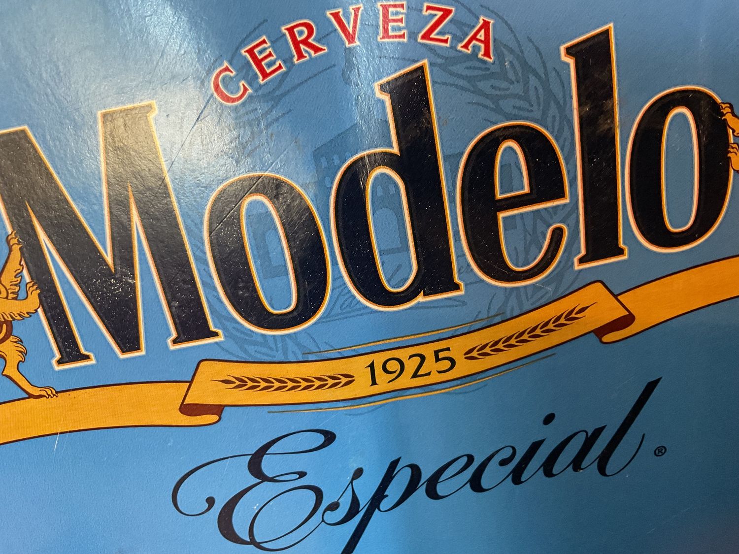 MODELO LOOSE CANS