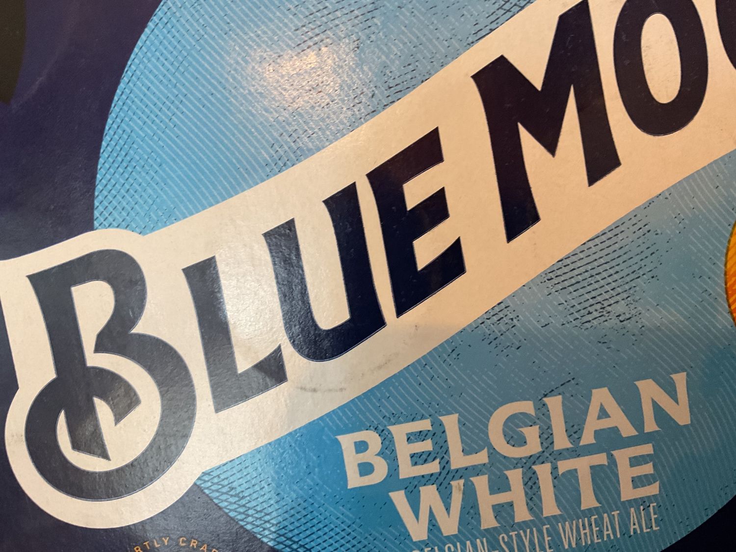 BLUE MOON 12PK CANS