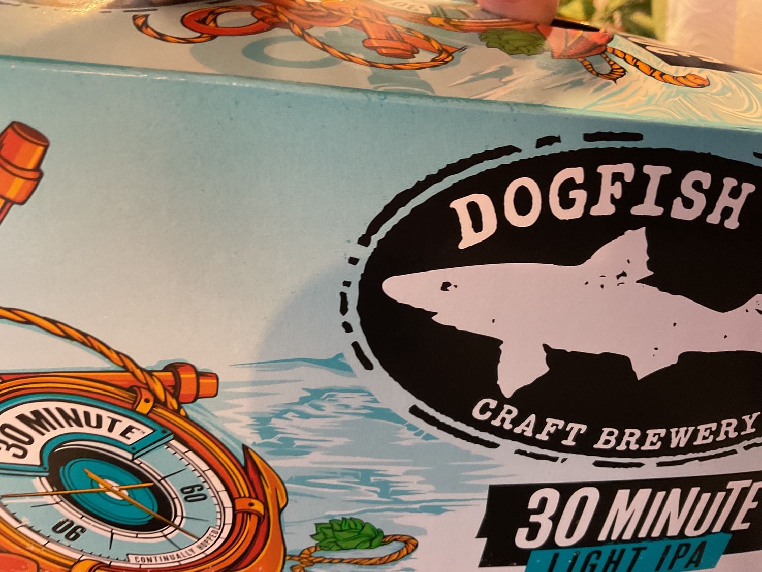 DOGFISH 30 MIN LIGHT IPA 6pk