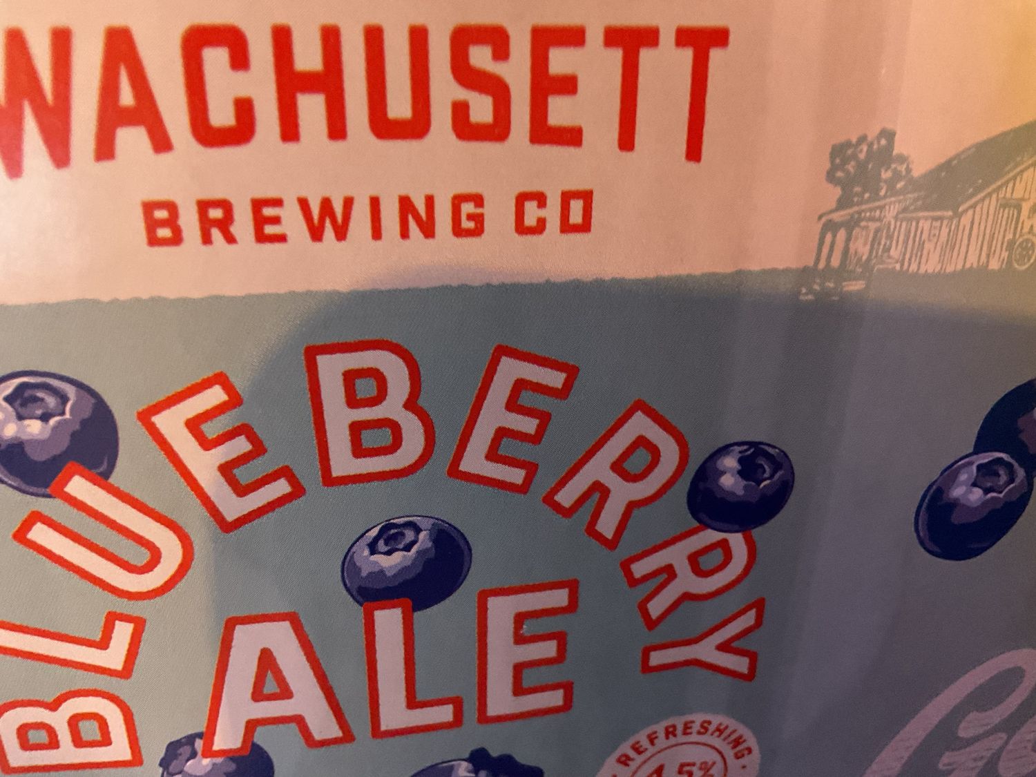 WACHUSETT BLUEBERRY 12PK can