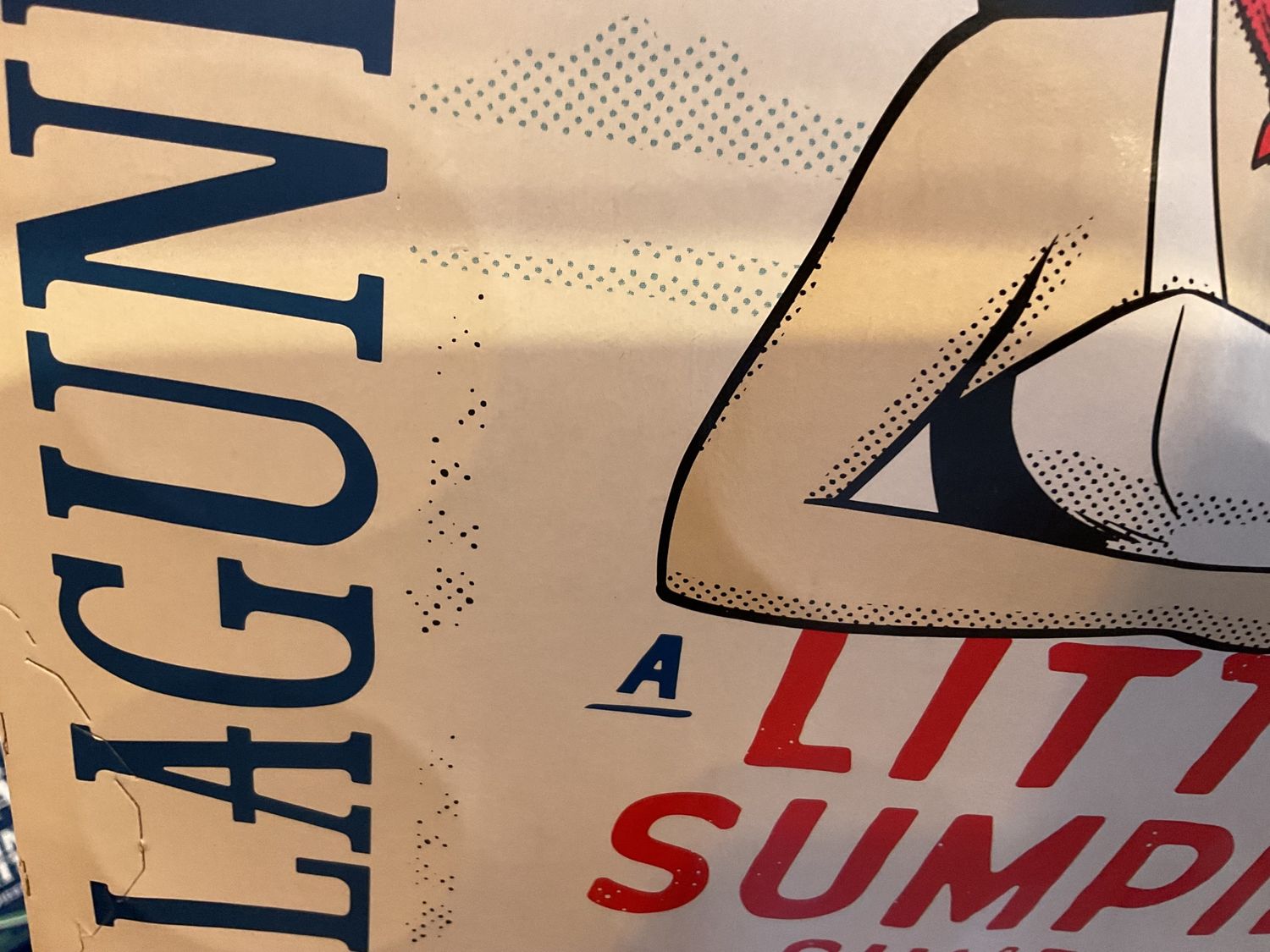 LAGUNITAS LITTLE SUMPIN  12pk