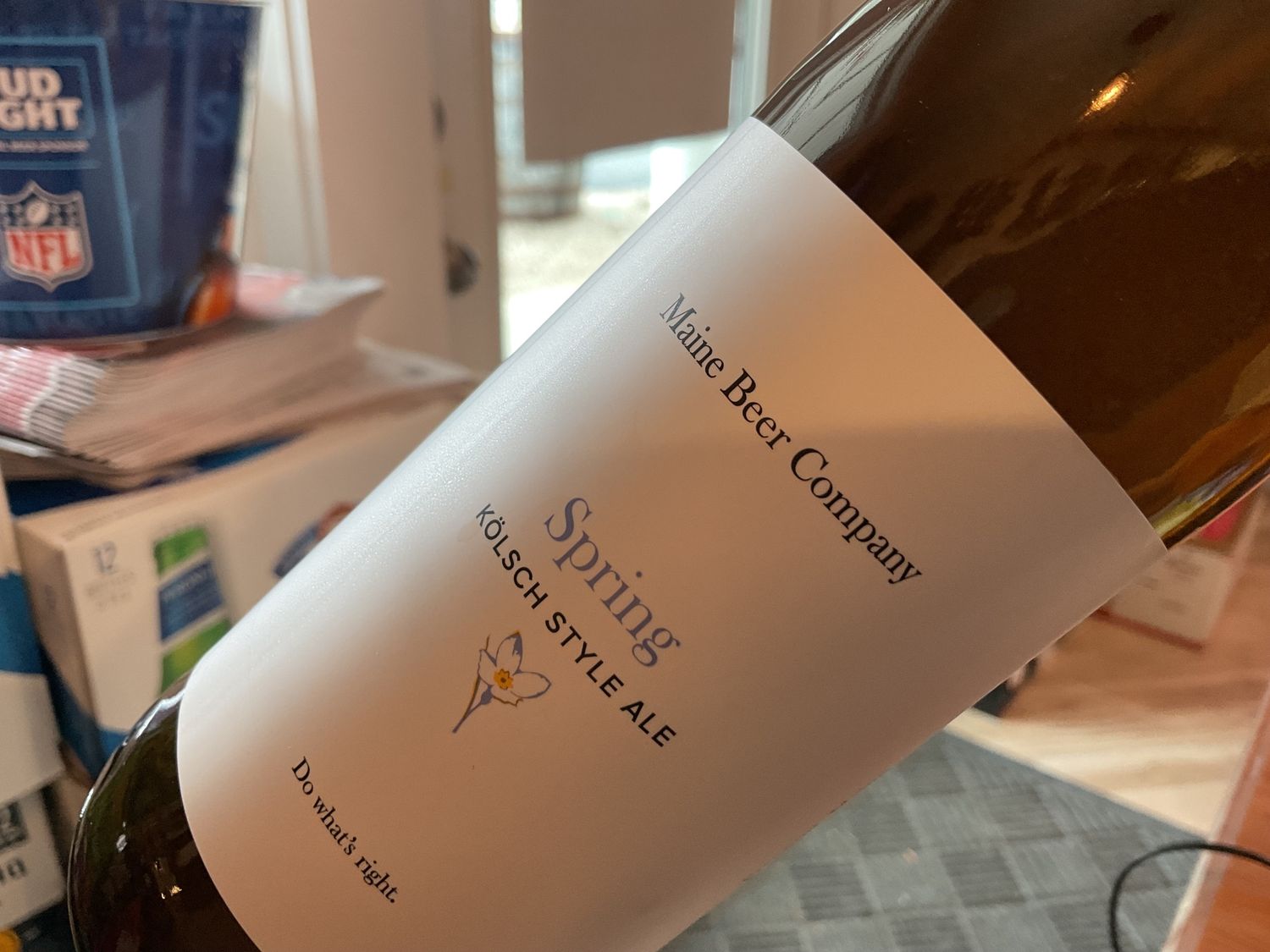 MAINE BEER SPRING PINT