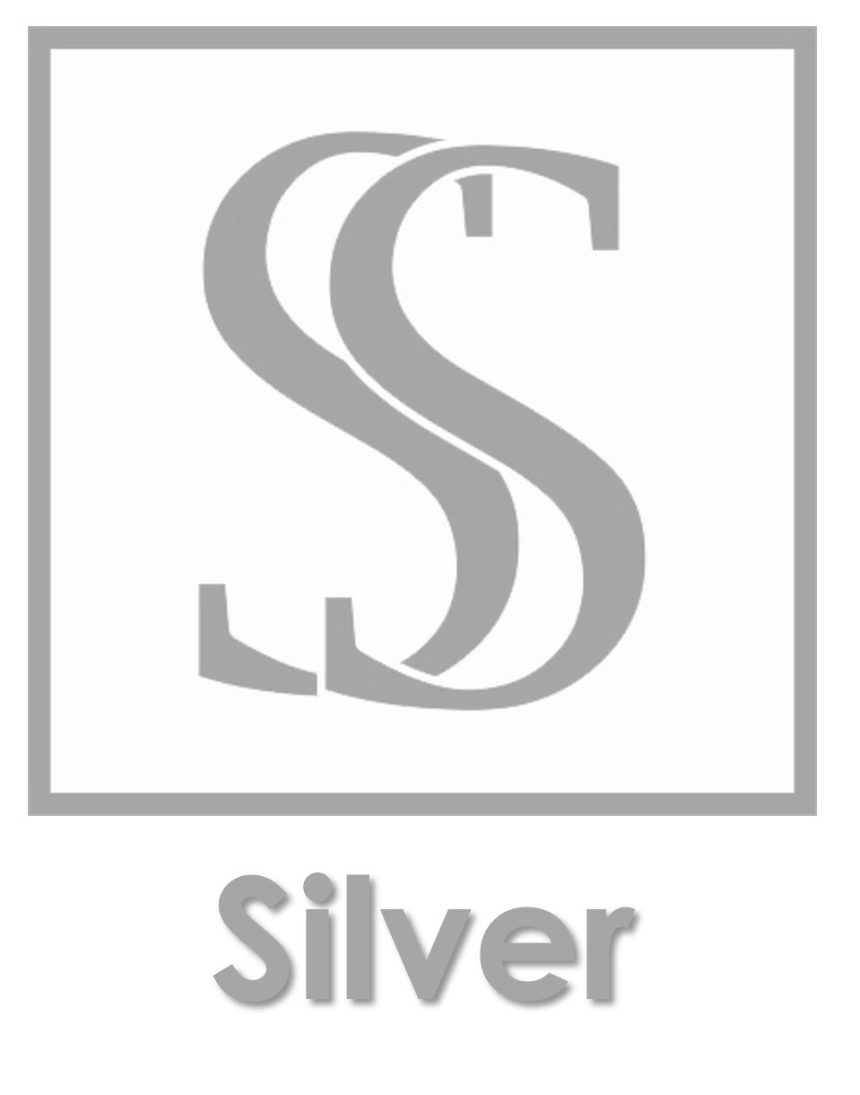 Sponsor Silver - 1Day