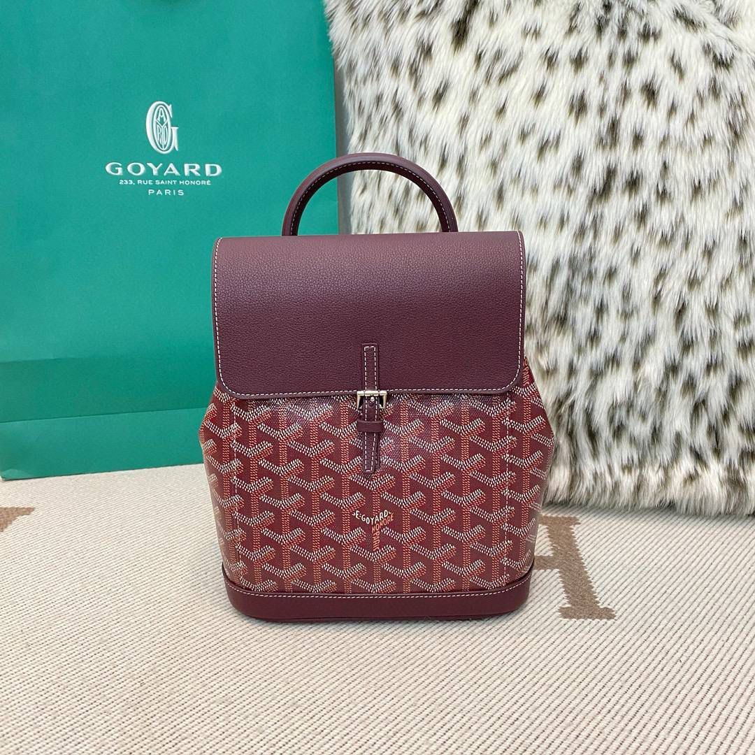 Goyard BackBag