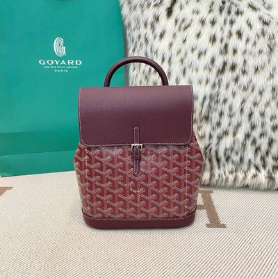Goyard BackBag